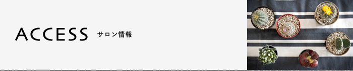 ACCESS-サロン情報ページ
