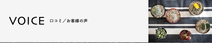 VOICE-口コミ・お客様の声ページ